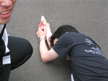 Photos
