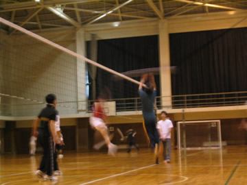 Photos